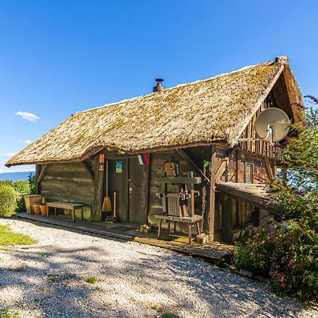 Vineyard Cottage Skatlar Otočec Kültér fotó
