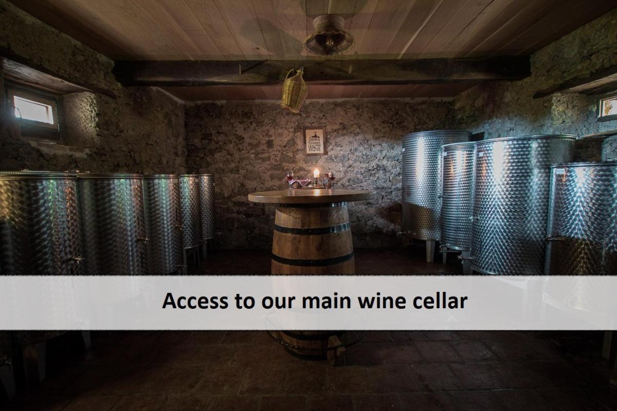Vineyard Cottage Skatlar Otočec Kültér fotó