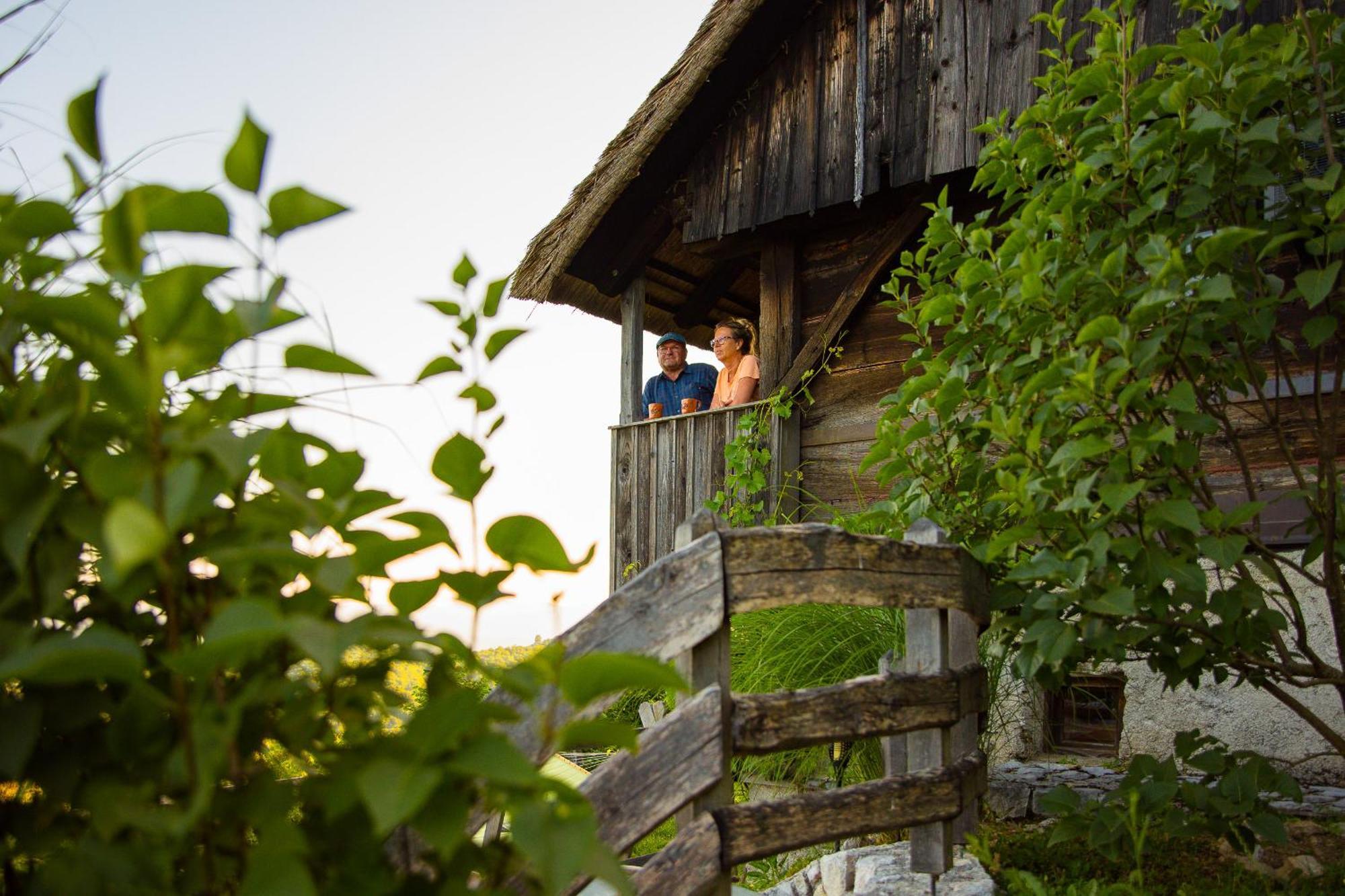 Vineyard Cottage Skatlar Otočec Kültér fotó